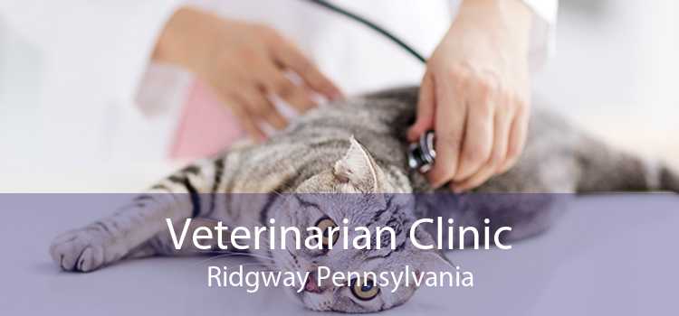 Veterinarian Clinic Ridgway Pennsylvania