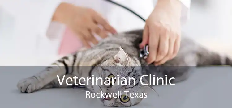 Veterinarian Clinic Rockwell Texas