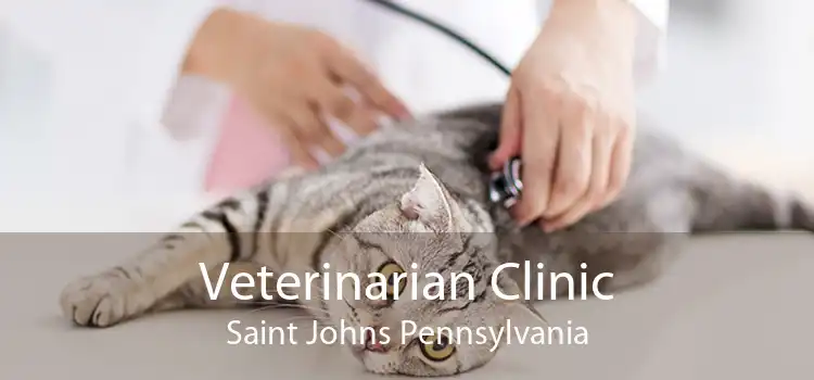 Veterinarian Clinic Saint Johns Pennsylvania