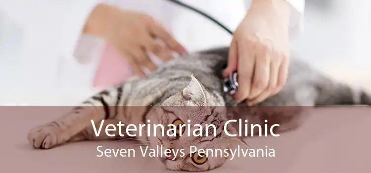 Veterinarian Clinic Seven Valleys Pennsylvania