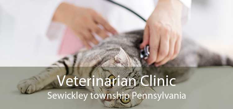 Veterinarian Clinic Sewickley township Pennsylvania