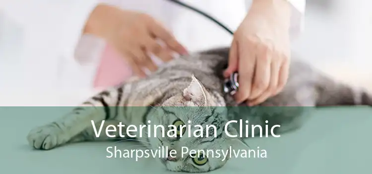 Veterinarian Clinic Sharpsville Pennsylvania