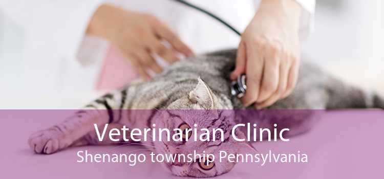 Veterinarian Clinic Shenango township Pennsylvania