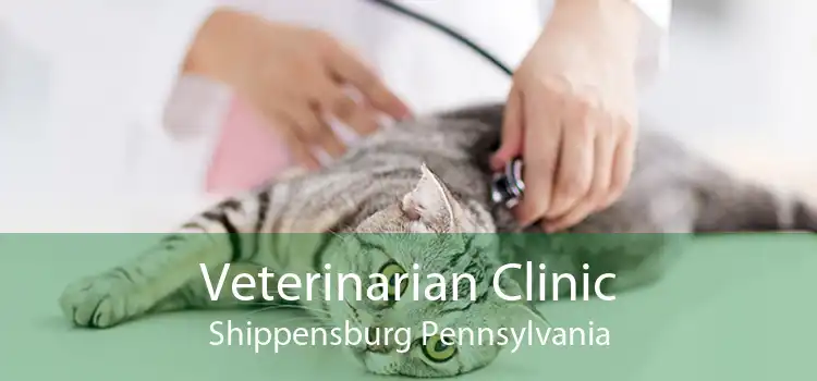 Veterinarian Clinic Shippensburg Pennsylvania
