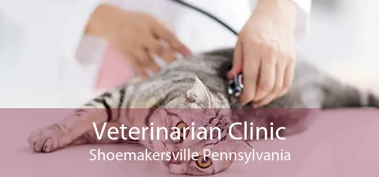 Veterinarian Clinic Shoemakersville Pennsylvania