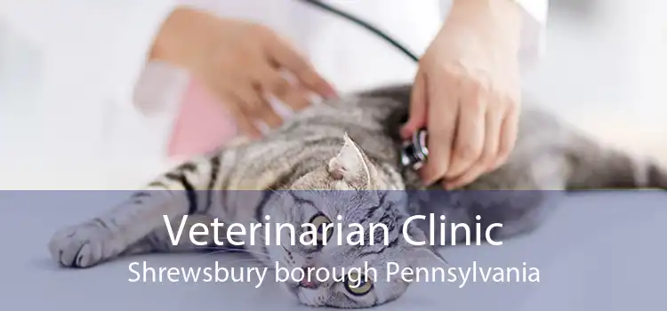 Veterinarian Clinic Shrewsbury borough Pennsylvania