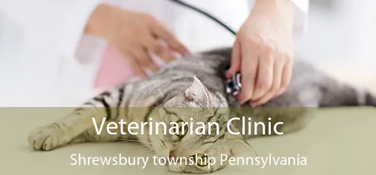 Veterinarian Clinic Shrewsbury township Pennsylvania