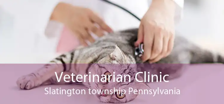 Veterinarian Clinic Slatington township Pennsylvania