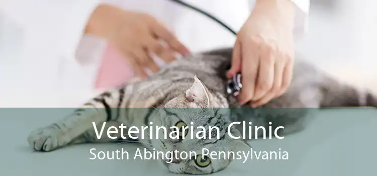 Veterinarian Clinic South Abington Pennsylvania