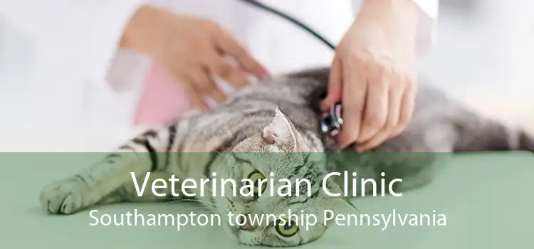 Veterinarian Clinic Southampton township Pennsylvania