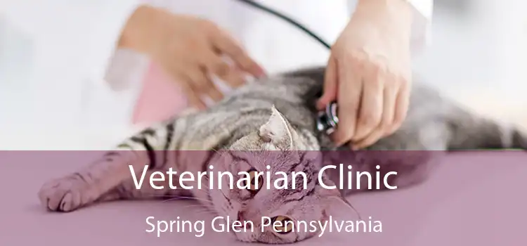 Veterinarian Clinic Spring Glen Pennsylvania