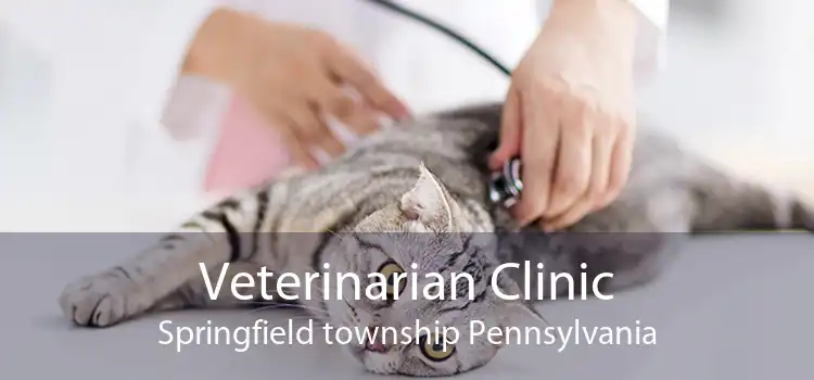 Veterinarian Clinic Springfield township Pennsylvania