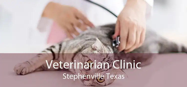 Veterinarian Clinic Stephenville Texas