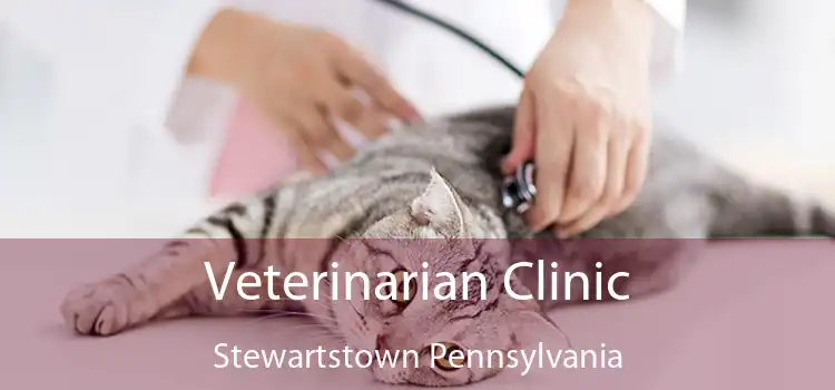 Veterinarian Clinic Stewartstown Pennsylvania