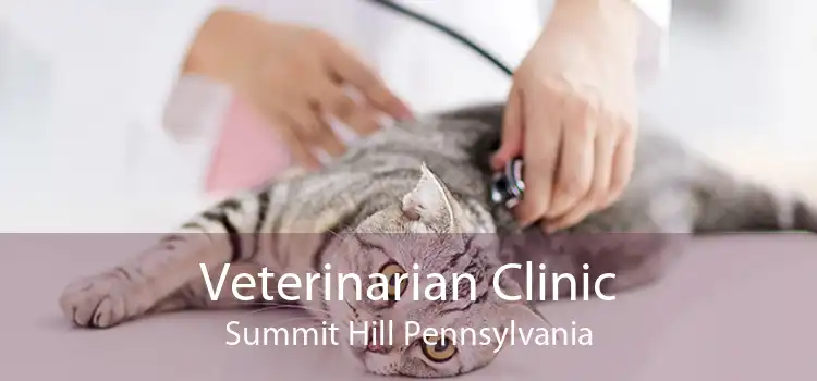 Veterinarian Clinic Summit Hill Pennsylvania