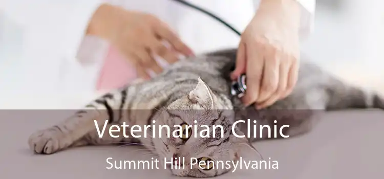 Veterinarian Clinic Summit Hill Pennsylvania
