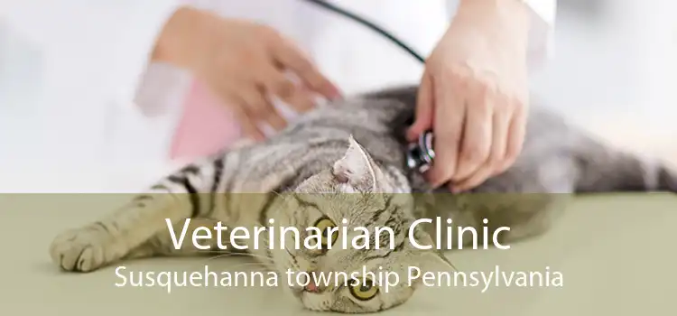 Veterinarian Clinic Susquehanna township Pennsylvania