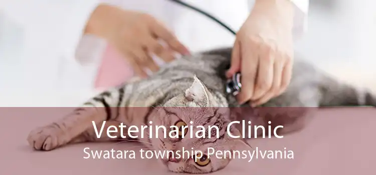 Veterinarian Clinic Swatara township Pennsylvania