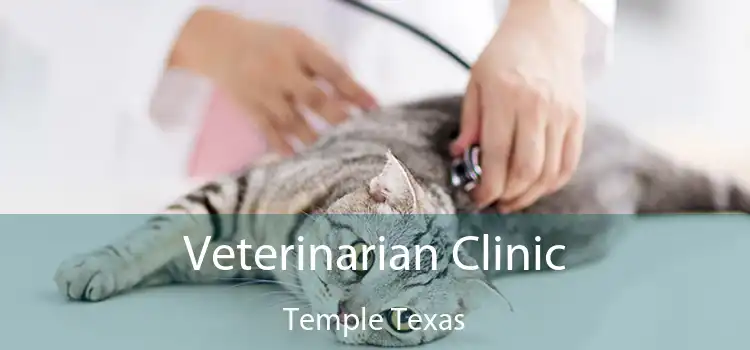 Veterinarian Clinic Temple Texas