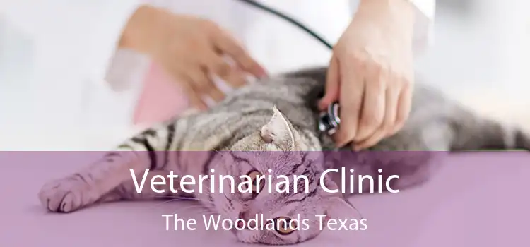 Veterinarian Clinic The Woodlands Texas