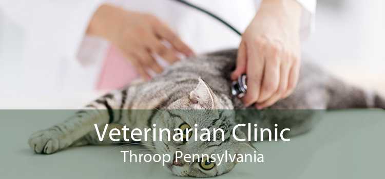 Veterinarian Clinic Throop Pennsylvania