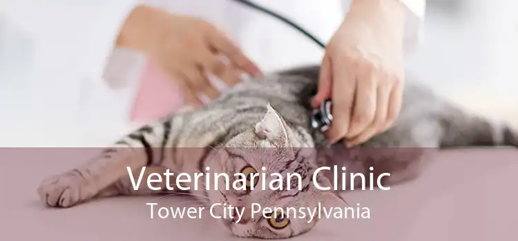 Veterinarian Clinic Tower City Pennsylvania