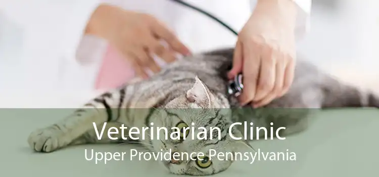 Veterinarian Clinic Upper Providence Pennsylvania