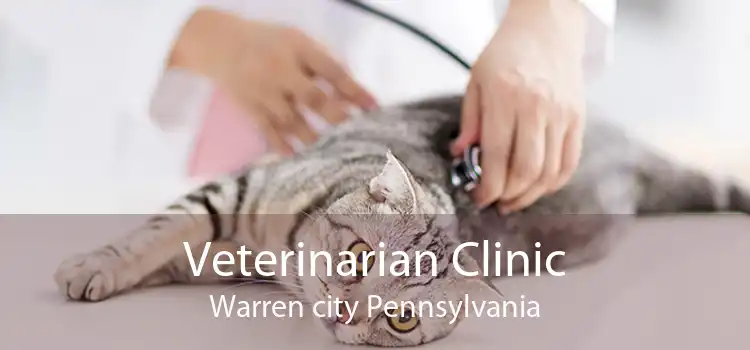 Veterinarian Clinic Warren city Pennsylvania