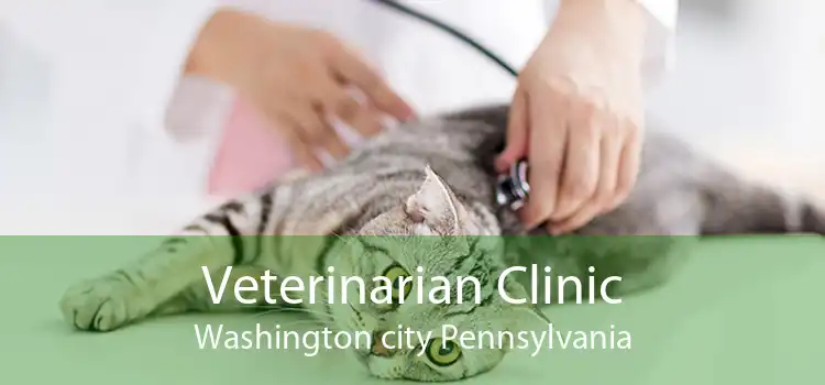 Veterinarian Clinic Washington city Pennsylvania