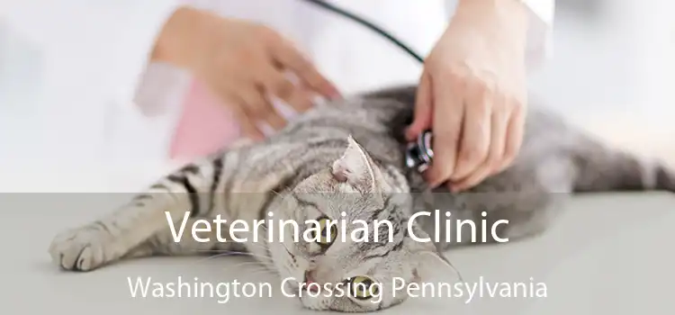 Veterinarian Clinic Washington Crossing Pennsylvania