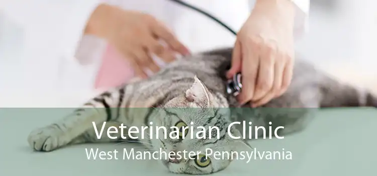 Veterinarian Clinic West Manchester Pennsylvania