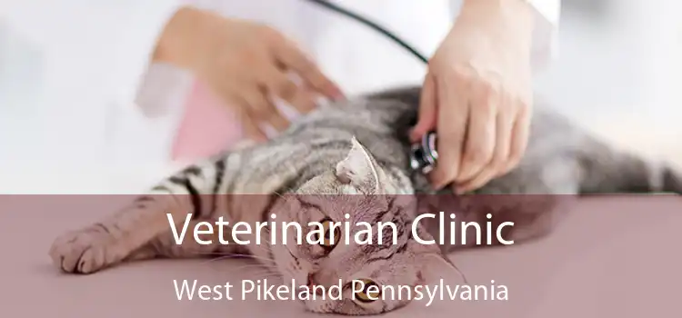 Veterinarian Clinic West Pikeland Pennsylvania