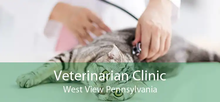 Veterinarian Clinic West View Pennsylvania