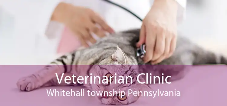 Veterinarian Clinic Whitehall township Pennsylvania