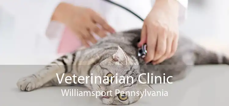 Veterinarian Clinic Williamsport Pennsylvania