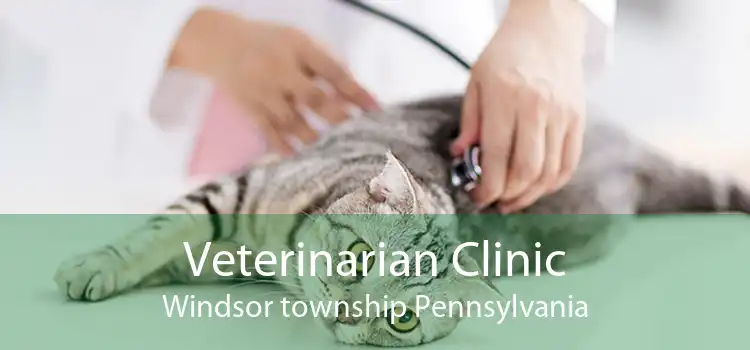 Veterinarian Clinic Windsor township Pennsylvania