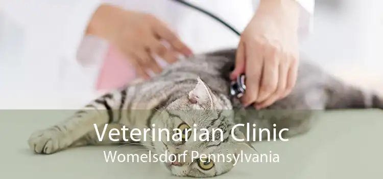 Veterinarian Clinic Womelsdorf Pennsylvania