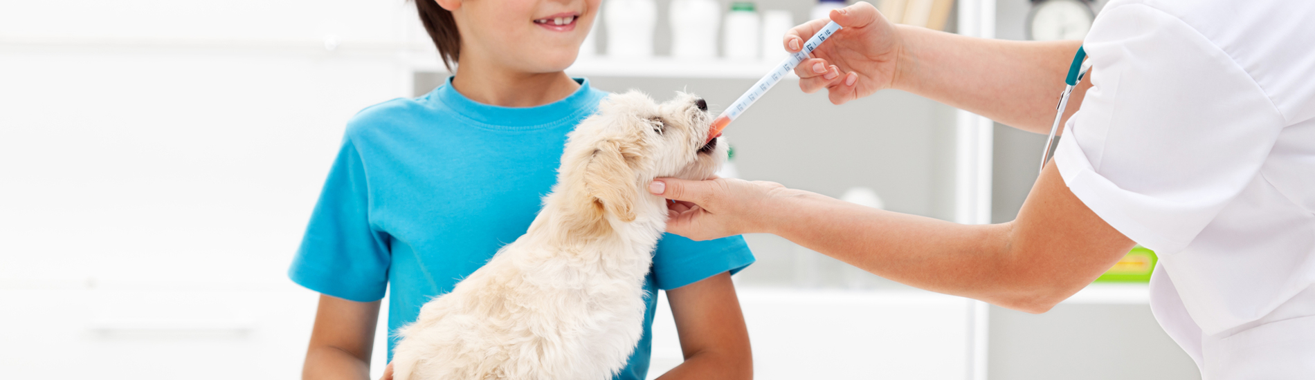dog-vaccinations-low-cost-dog-vaccinations-near-me